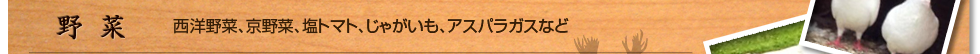 野菜