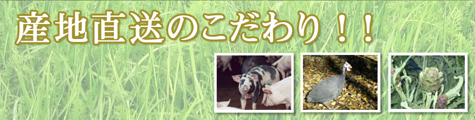 産地直送のこだわり！！